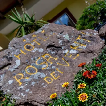 Hotel Rosa Dei Venti 3*